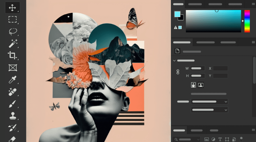 Adobe Photoshop is the industry standard for image editing