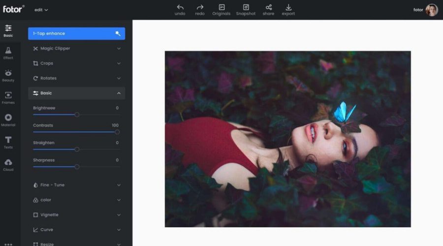 Photo Retouch Online for Free | AI-Powered Image Enhancer 4 Top Best Photo Retouch Online that is Free To Use-2