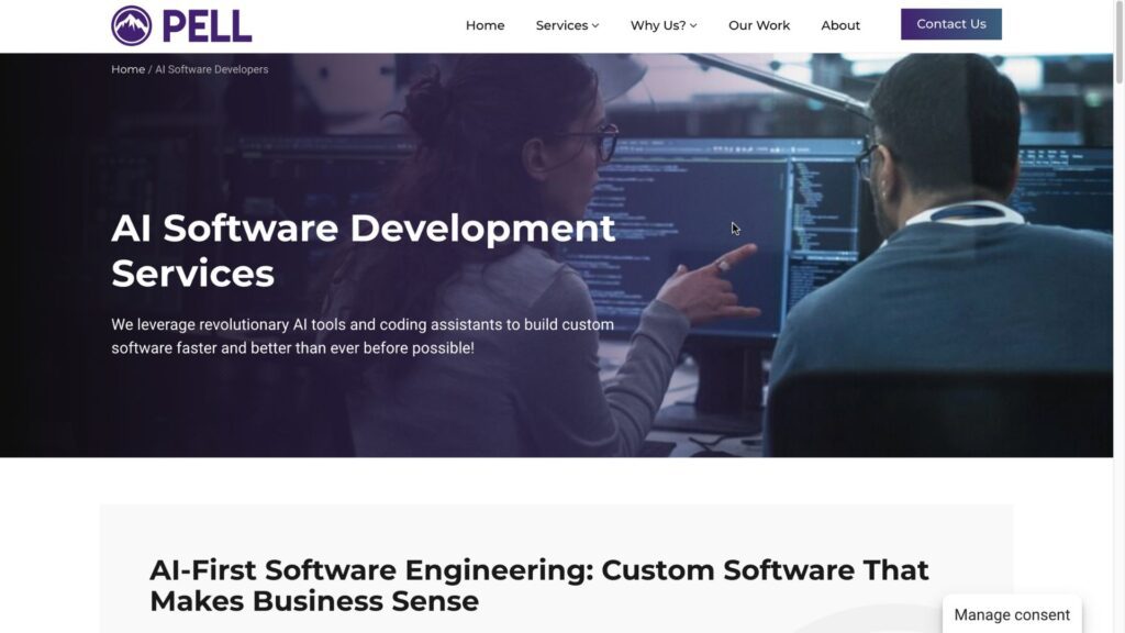 Pellio is a business process documentation software