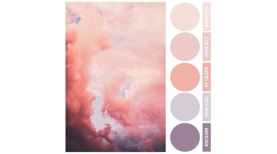 10+ Aesthetic Photo Editing Tips for Soft, Dreamy Vibes 2 Choose an Aesthetic Color Palette