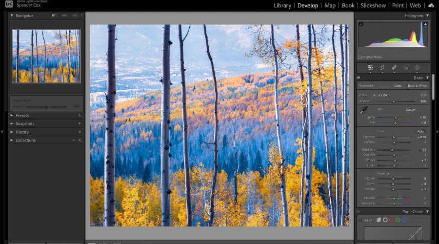 10+ Aesthetic Photo Editing Tips for Soft, Dreamy Vibes 8 Highlight Natural Elements in Your Composition