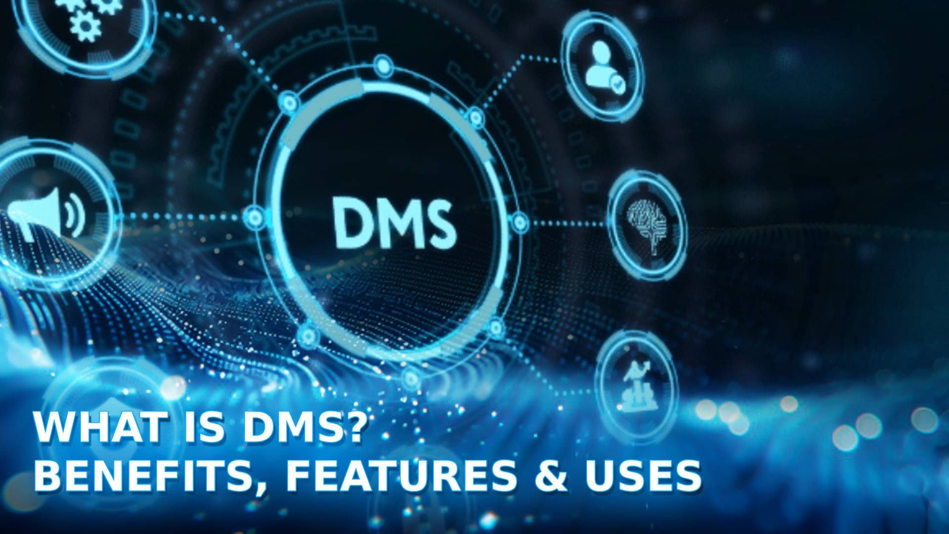 Insights 51 whats dms