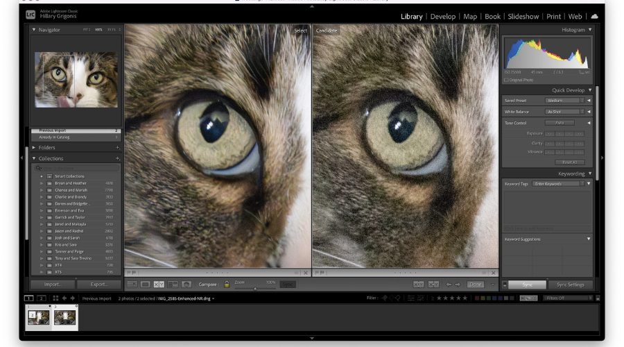 How to Edit in Lightroom: Step-by-Step Guide for Beginners 5 How to edit in Lightroom for beginners (4)