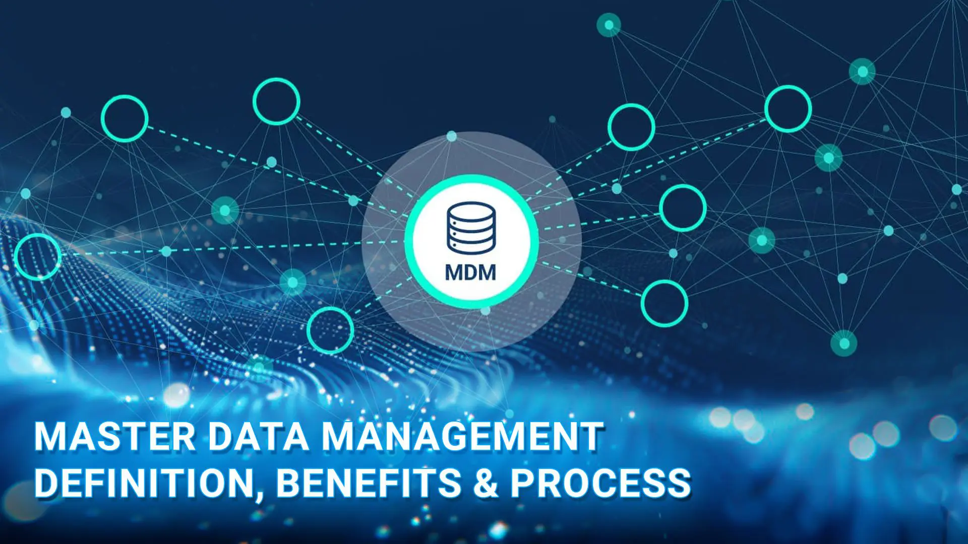 master data management definition