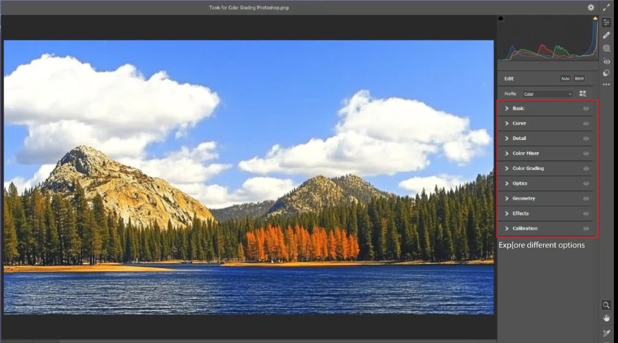 Refine Colors for Natural Vibes