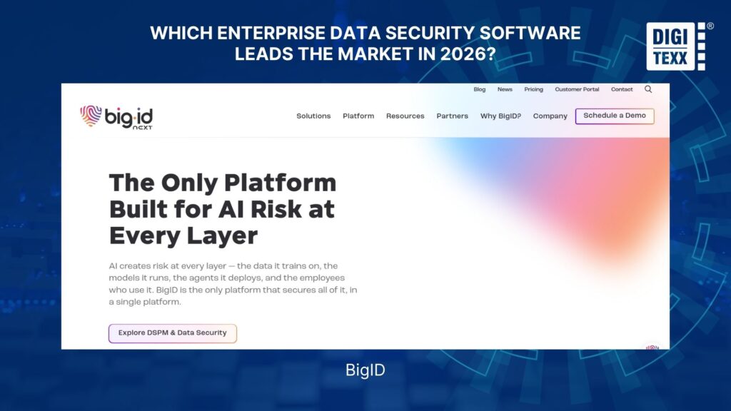 BigID data security software for AI risk management