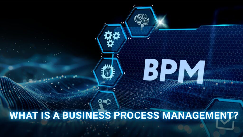 what is a business process management