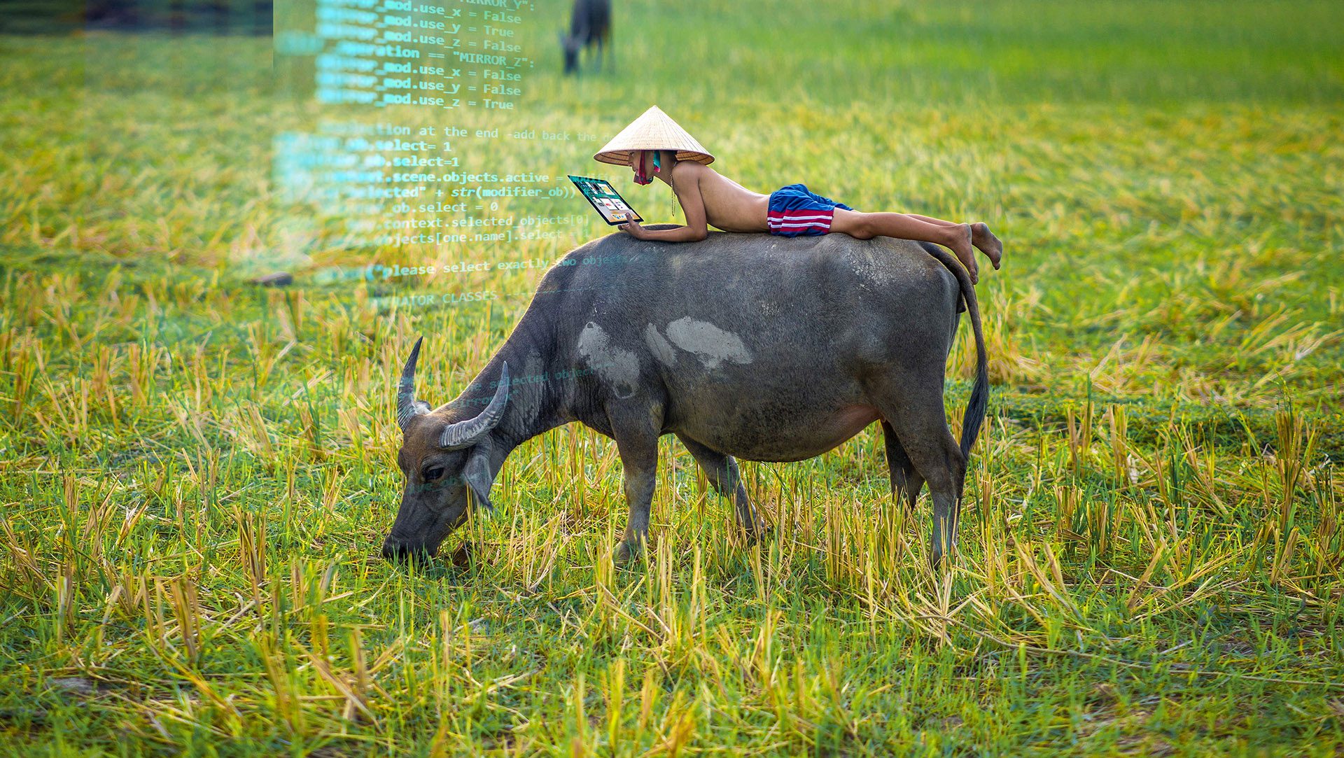 About Us 26 About Us New 2025 HISTORY 05