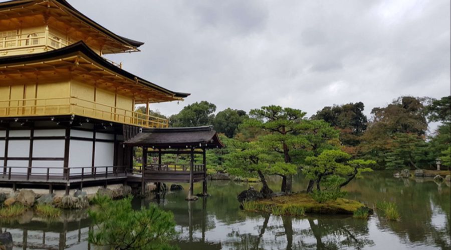 Top 9 Travel Photo Editing Tools for Photographers 4 Instasize is an application that is designed specifically for the users who want to quickly edit