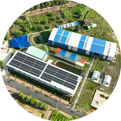 Chuong Trinh dao tao BPO