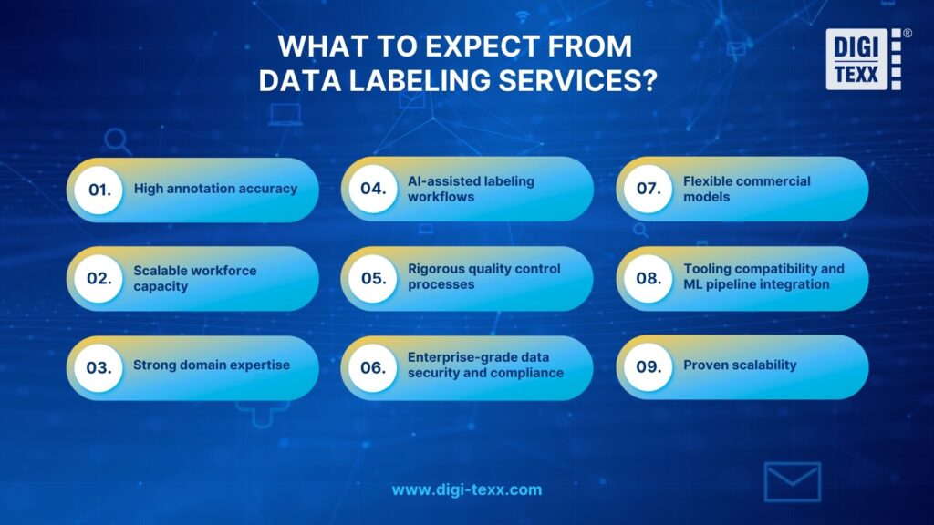 Professional data labeling services supporting AI and machine learning workflows