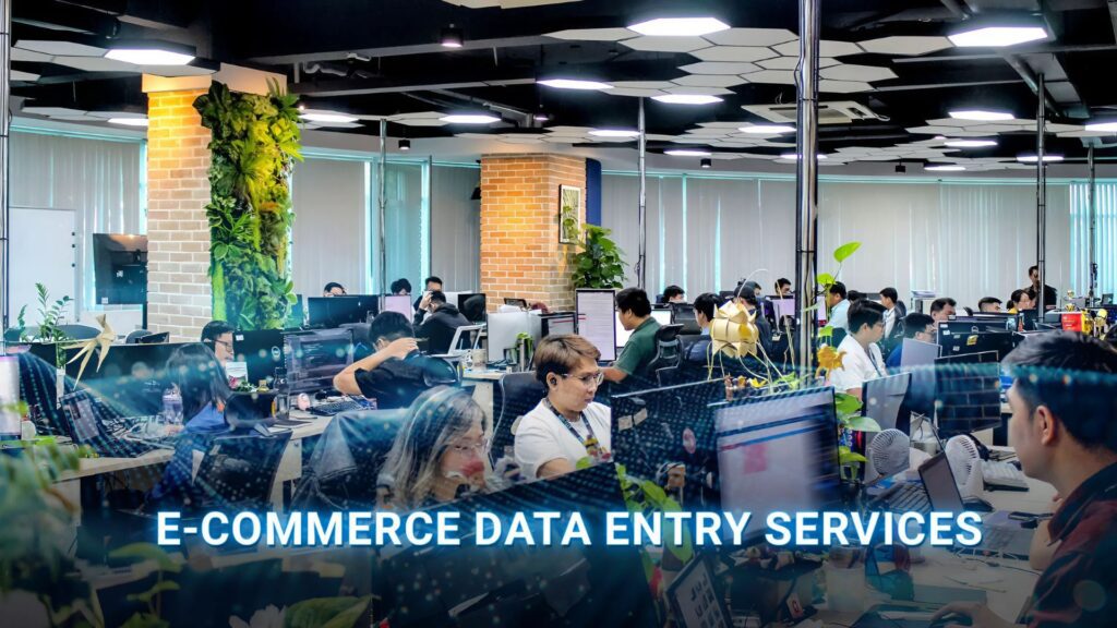 e-commerce data entry​