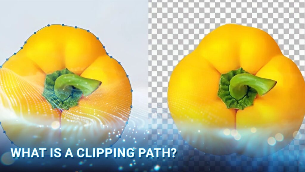 What Is Clipping Path? Professional Guide & Services | Digi-Texx
