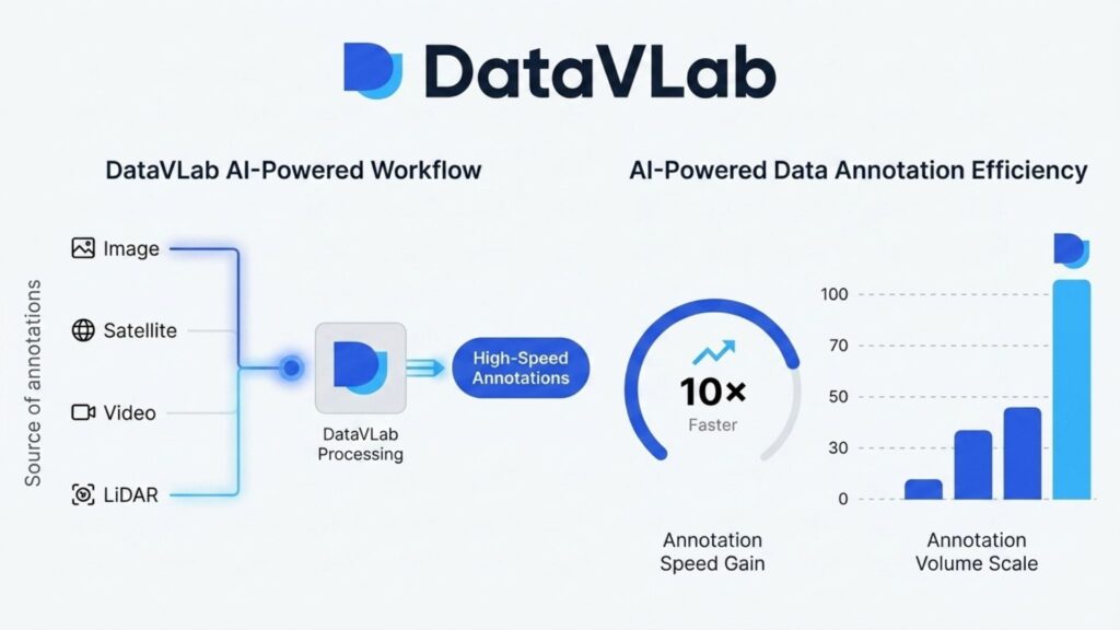 DataVLab workflow charts show a data labeling service provider.