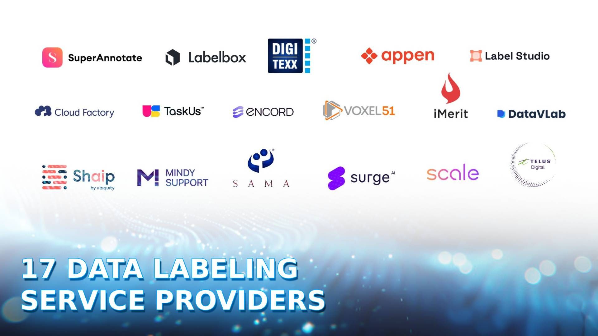 data labeling service provider