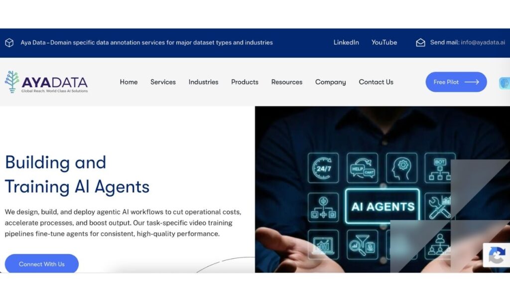 Aya Data multilingual and diverse AI training data collection