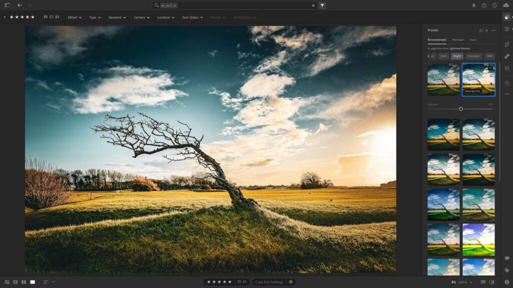 Applying AI adjustments in photo editing software