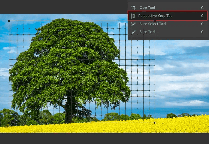25 Essential Photography Tips For Beginners In 2026 20 Professional photography tips for basic photo editing adjustments