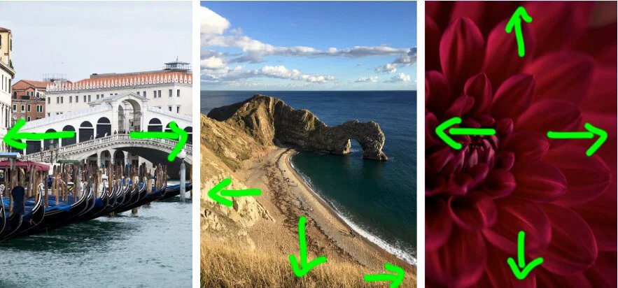 25 Essential Photography Tips For Beginners In 2026 8 Photography tips for beginners for checking the edges of a photo frame